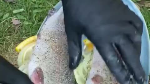 Grilled Rainbow Trout over fire - outdoor cooking