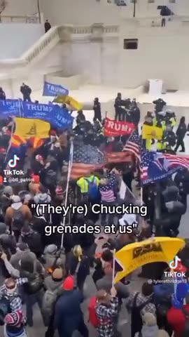 police throw 3 concussion grenades into a peaceful crowd