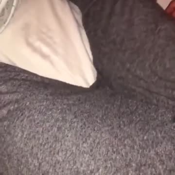 More suffering from this damn vaccine.