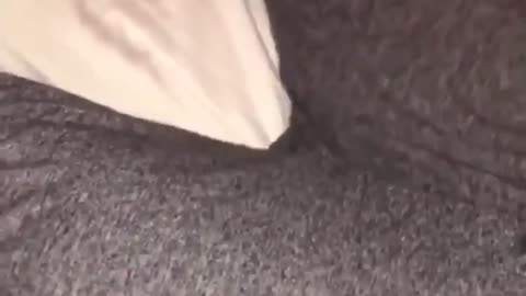 More suffering from this damn vaccine.