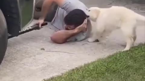 Cutest moment of the animals - 🐶 Cutest Puppies