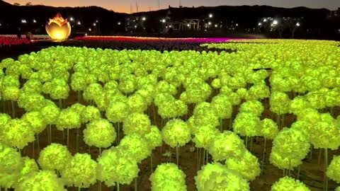 Beautiful colorful hydrangea lamp