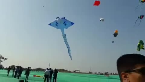 Kite Festival India