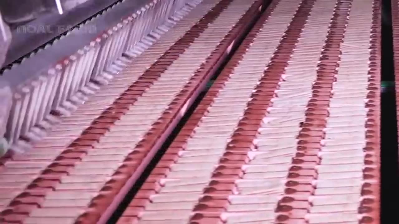 Japanese Mass Production - Japan Modern Food Factory Processing Line Compilation 2023