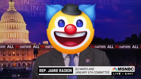 Dem Rep. Raskin is a Lying Clown!
