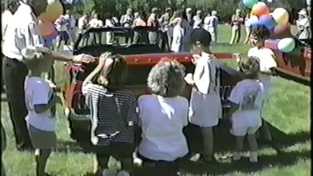 1995 The Mustang Surprise