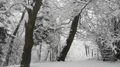 30 Minutes of Calm Holiday Music