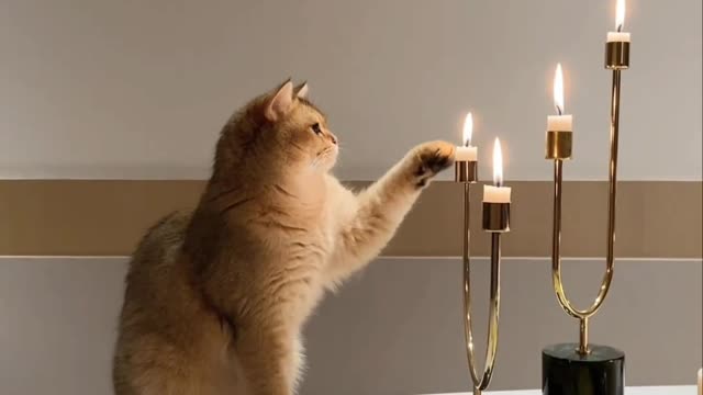 It's not about being afraid of the heat