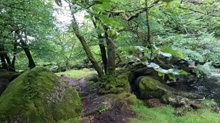 River in Dartmoor