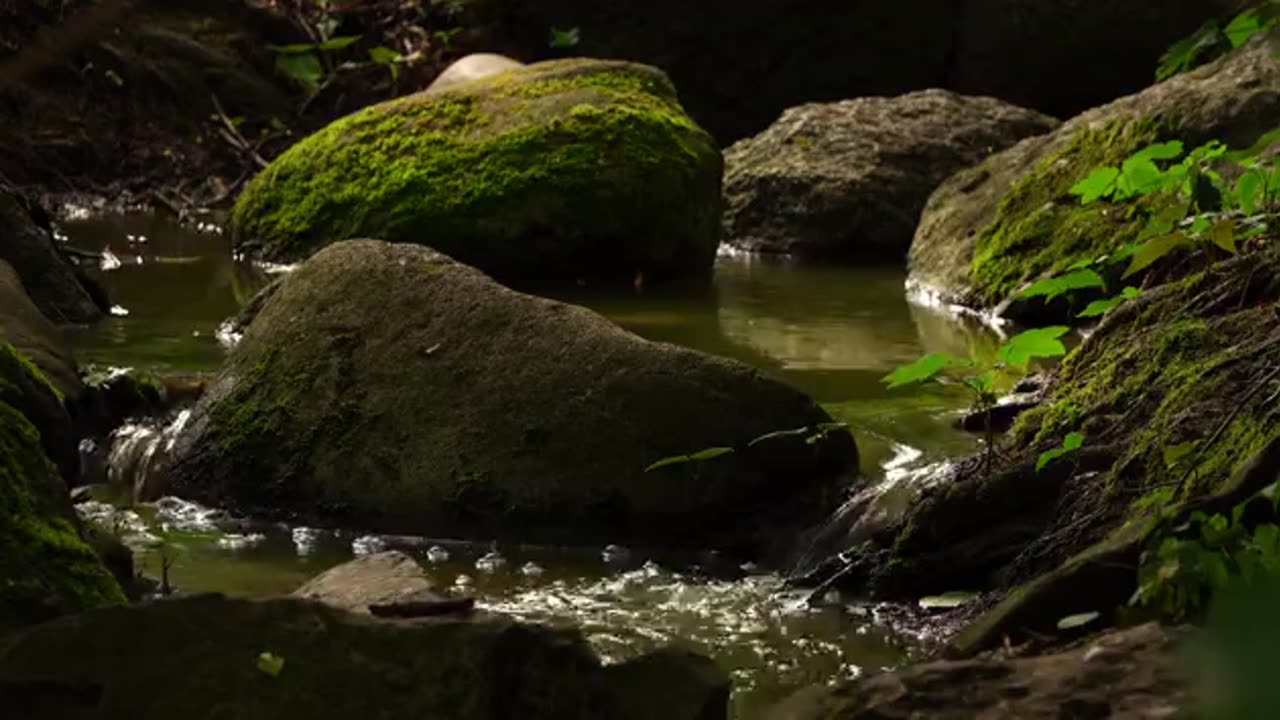 THE WATERFALLS