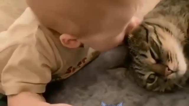 Cute baby 👶 byt cat