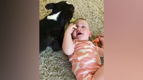 Cute Babies Playing With Dogs Compilation | Funny Baby And Pets