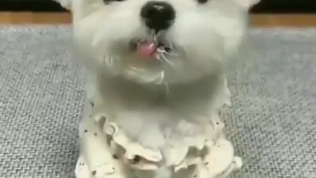 Cute doggies// Cute puppies // Cute puppy in the world..🐕🐕🐕🐕🐕