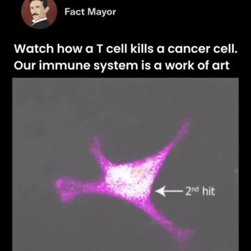 Educational Purposes Only..!