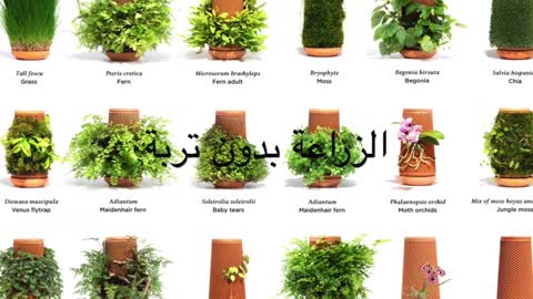 terraplanter اعجوبة