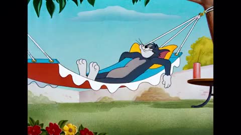 Tom and Jerry bast funny cartoon this is BAST fun