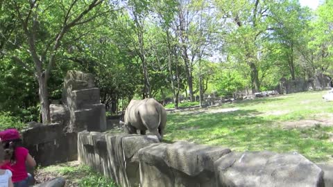 Day Date Vlog: Brookfield Zoo (2011-06-15)
