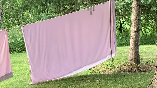 Squirrel Turns Sheet in Playground