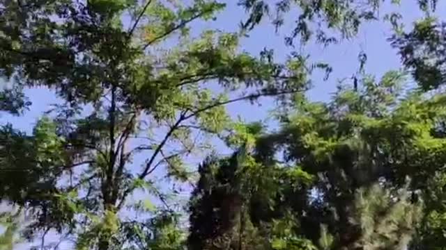 Beautiful scenery of nature