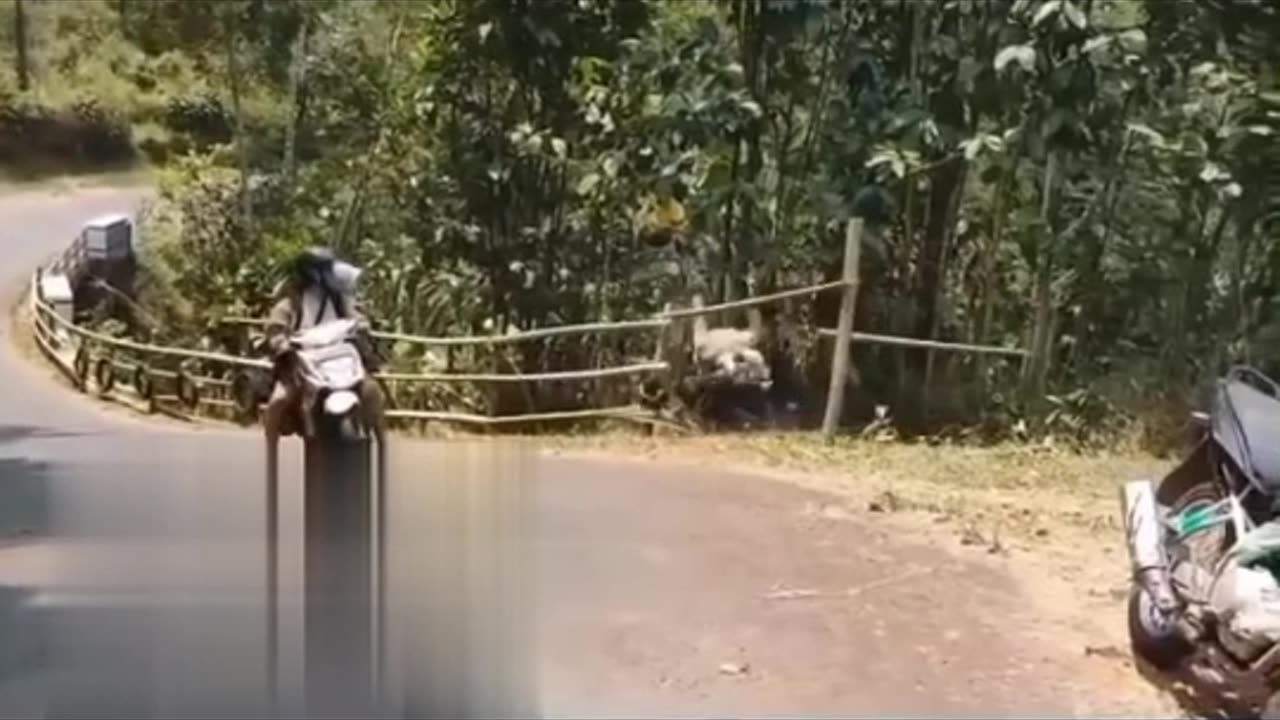 Funny Accident