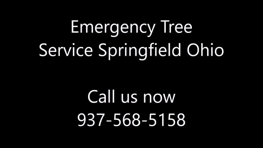 Emergency Tree Service Springfield Ohio