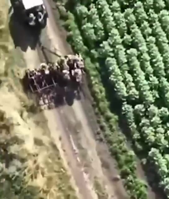 Přesun ukrajinců do první linie u Záporoží na traktoru