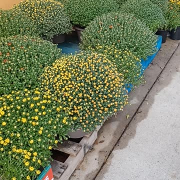 Wow!!! They finally said it on the news