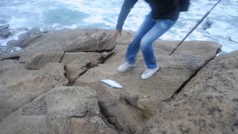 Pêche au leurre : violente touche d'un gros bar en direct live