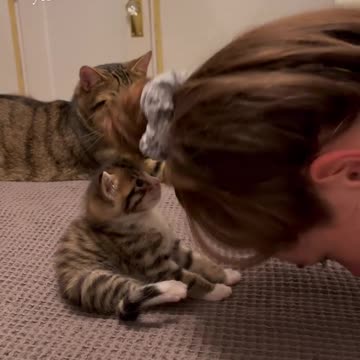 He just a little baby