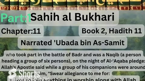 Hadith in English/Sahih al Bukhari/with Reference