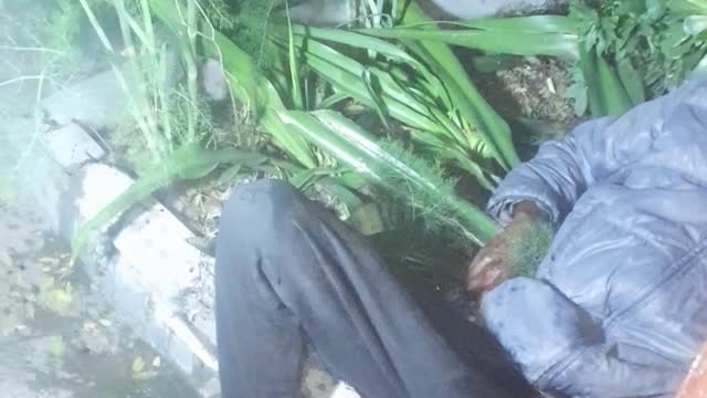 KALKSTEEN CHRONICLES: MAN STABBED MULTIPLE TIMES AN LEFT FOR DEAD 15 MINUTES AFTERLOADSHEDDING. .