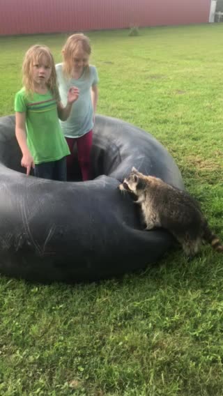 Just A Little Fun on the Farm