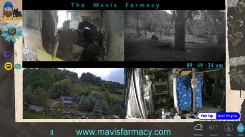 Life on Doc's Farm : Mavis Institute 🎵 🐓🦆🐝🐇🐖: Farmcore