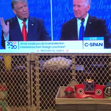 Hunter Biden and Joe Biden are crooks