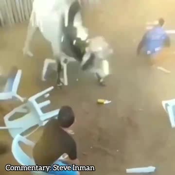 Bull Called Their Bluff