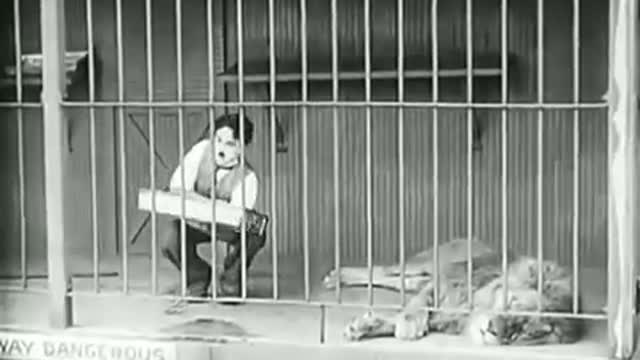 Charline Chaplin Best comedy Videos in the world