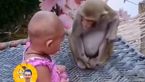 Funny kid and monkey funny video tiktok video