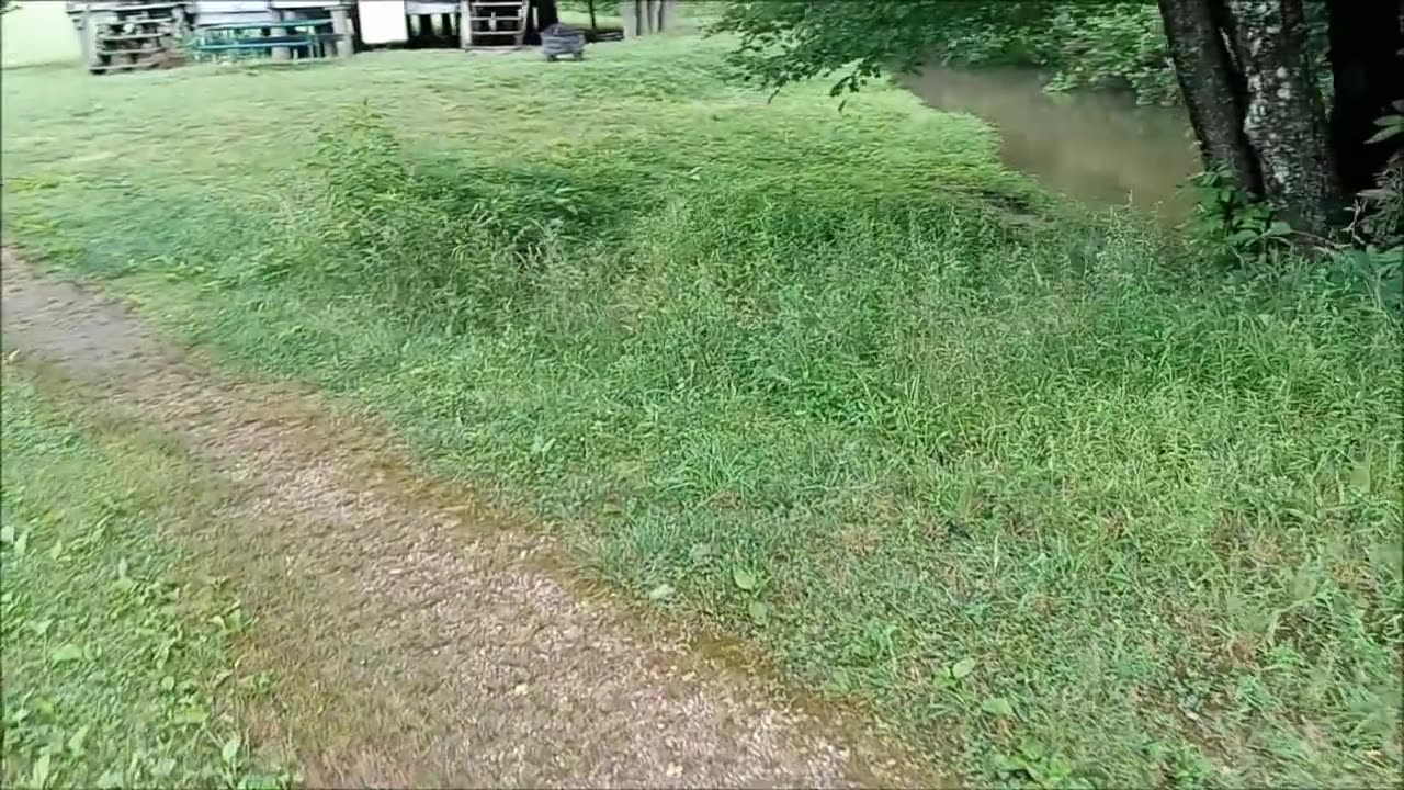 Bigfoot Gifting and Gold Panning Coker Creek TN.