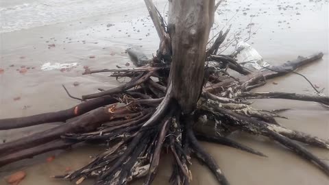 Beautiful beach in India beautiful nature