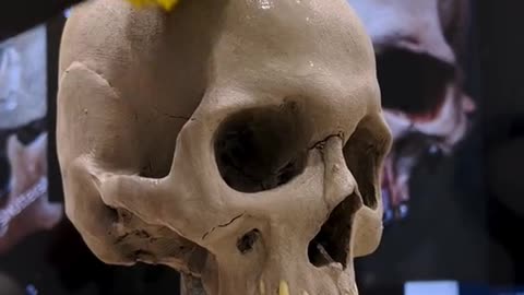 First paint job on the new skull "Grillz"💀