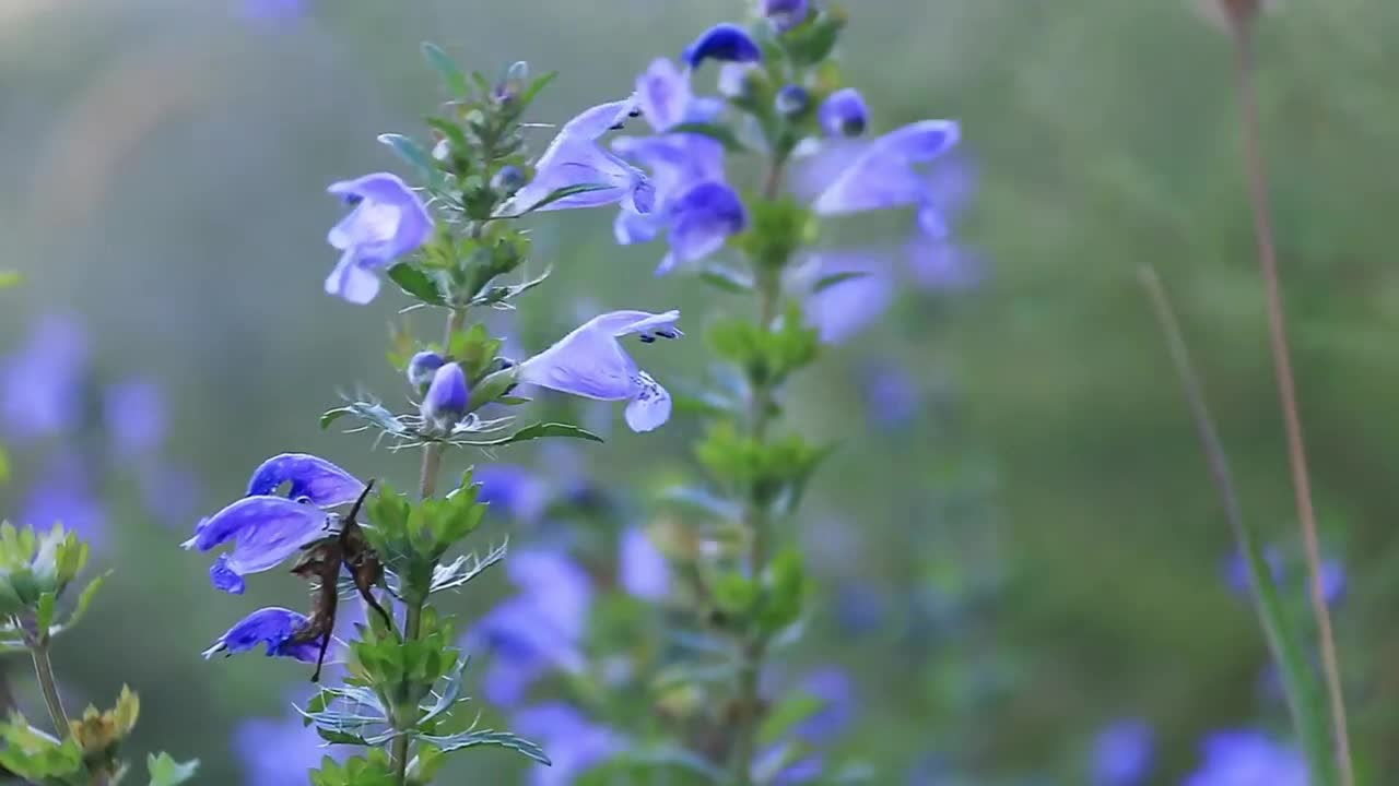 Feel the nature, come on, leave footprints