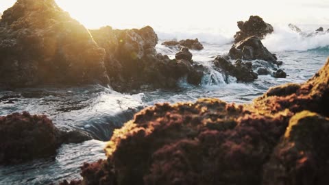 Relaxing Water Sounds for Sleep"