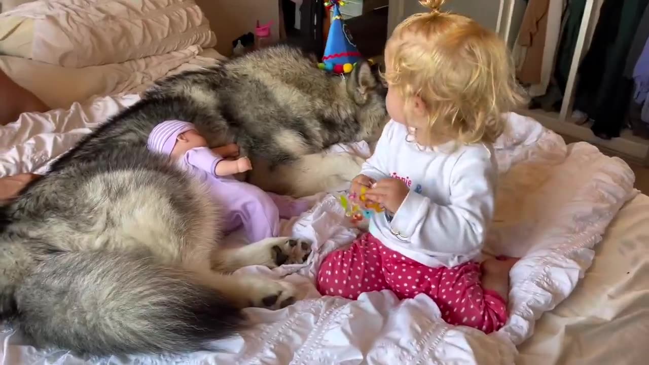 Enjoy these video? Cute baby and puppy growing up together and follow us to watch good video