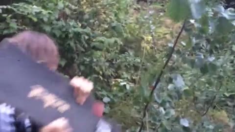 Guy hitting branch with skateboard