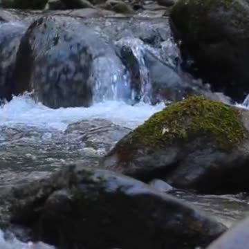 Best Nature Sounds 🌲 Relaxing Music 🎵 The Healing Power Of Nature Sounds ⚕️#shorts #relaxingmusic