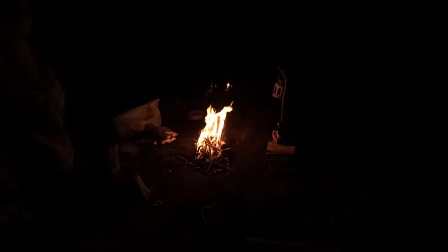 Woodland wildcamping campfire