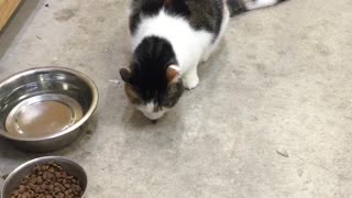 Snow goofing around with her food