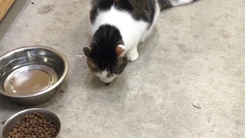 Snow goofing around with her food