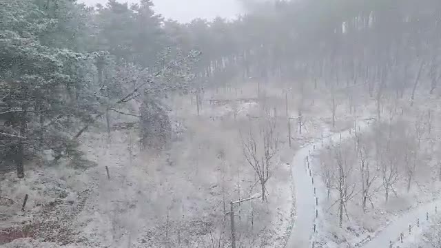 korean winter