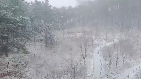 korean winter